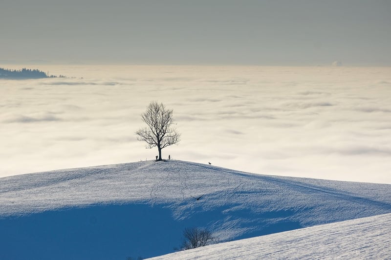 Magical Moment
